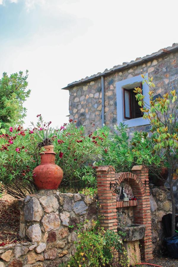 Complejo Rural Rosa Del Gamonal Casa vacanze Cádiar